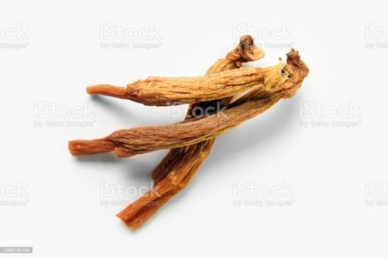 Screenshot%EF%BC%BF20230314%EF%BC%BF073740%EF%BC%BFNAVER.jpg?type=w773