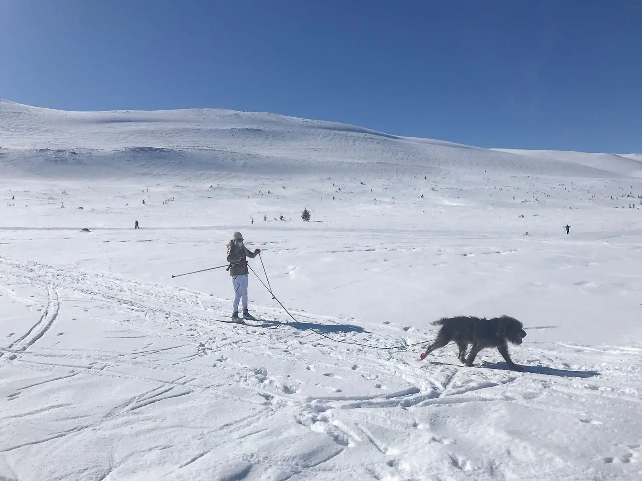 KakaoTalk_Photo_2024-06-07-11-43-39 001.jpeg