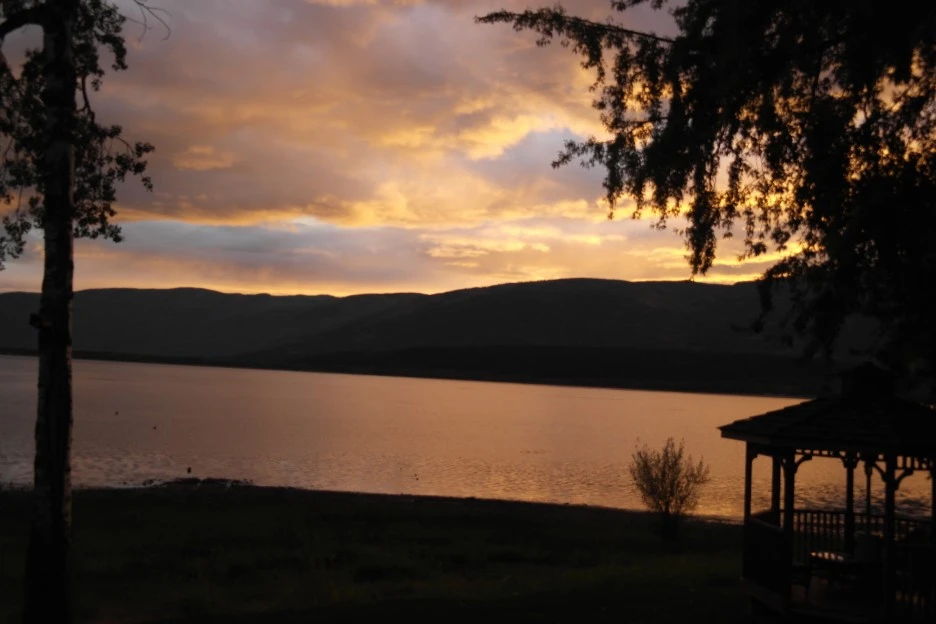 SAM_2667.JPG?type=w1