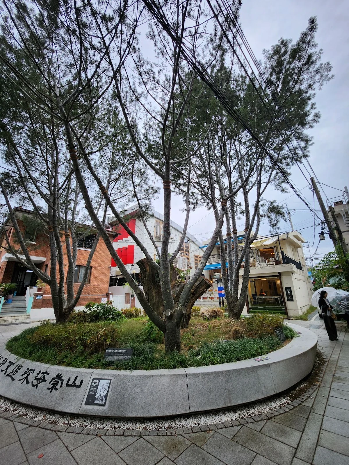 AD_4nXdIXjKmg0eAFflleOJbsZreComQT74ACFnJLSA2zZ5b_XthT_r4Ectb3ktRmLZmSPkN3uVRzpAf6UNwSMfY_PGgVvmz8CMv1CYaNUXOSeReR_D-WZ8wd-NARJHnJL_GmoLpV2dW?key=SqIscR-P9JQ0HFaCgCsetiwN