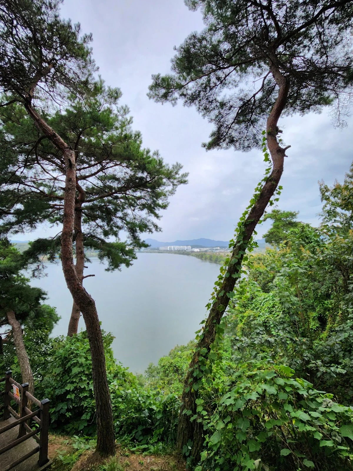 AD_4nXeJptTpV-ZJFSYGfstfyFNfAp5SYUpRnCXv4KKqdBGRkqhAyxGDjAp-tv6tOYrGpO7RfvsaTtk-UokPpZ8UC_JulfYNOHXTI4QUQQA3iK9F4ZFxfSVEtETJaLhooq1veARf7i-XuQ?key=SqIscR-P9JQ0HFaCgCsetiwN