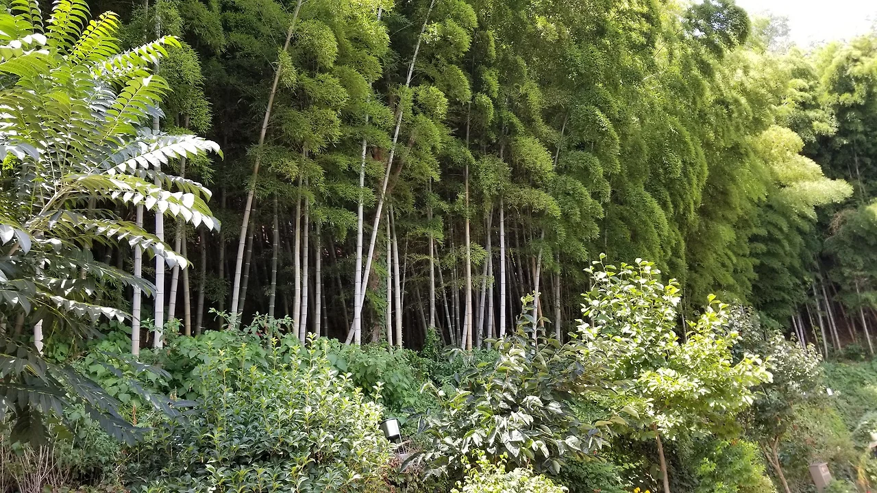 mbMyRdZCrhaiN3IUqpen-HmmVtuq7rPQdLFkfyFt2Iv3B4ukh19Sat5OG4EHGJ8REA27pvOMeXm-AVeY2vdMCfBsMQeJgr1tv2Jtw2x-sVtSjvv5liLp6e7ARiB5QakLPGrnWj1ypI4OkH71IhaKrg