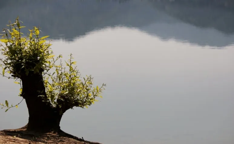 IMG_0810(1024x632).jpg?type=w773