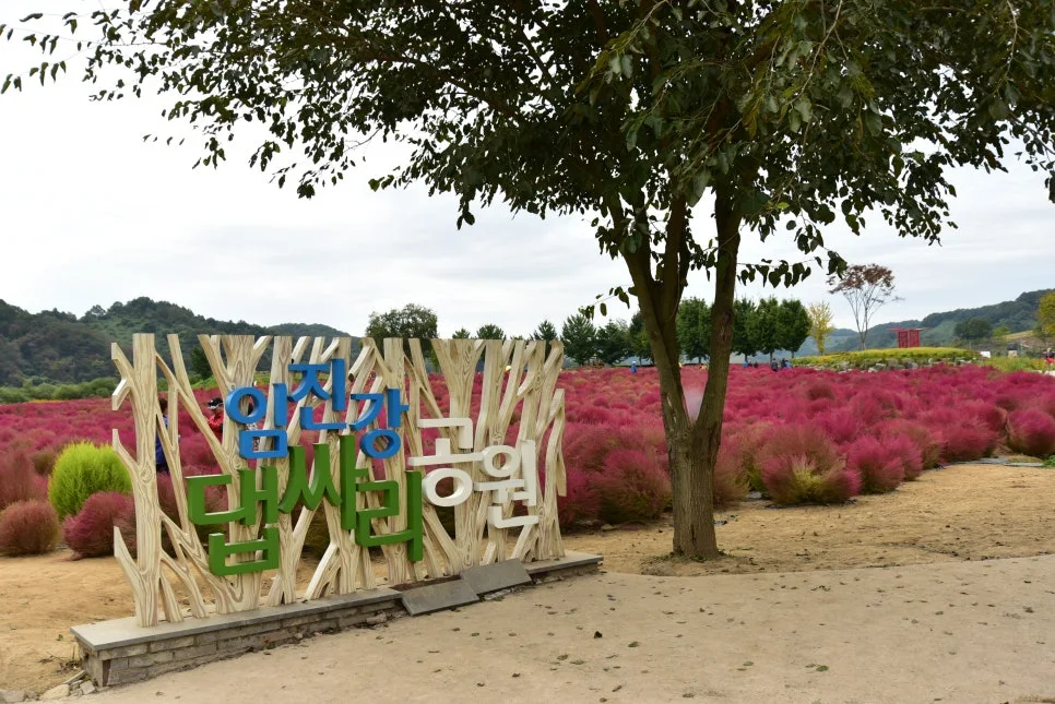 10%EC%9B%9414%EC%9D%BC_(94).JPG?type=w966