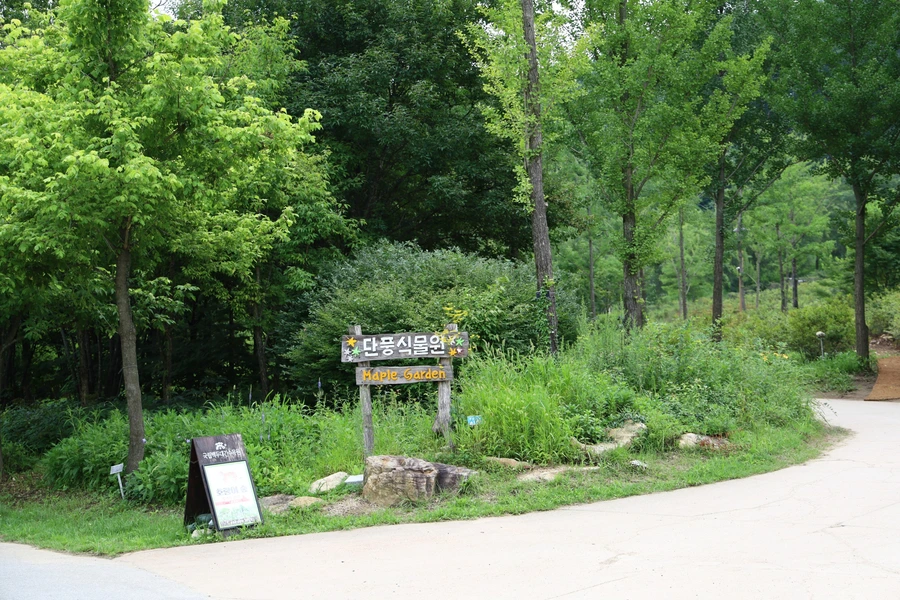 SE-734ea2d9-edd1-43a1-a6ce-ff6c42a38e3f.jpg?type=w1