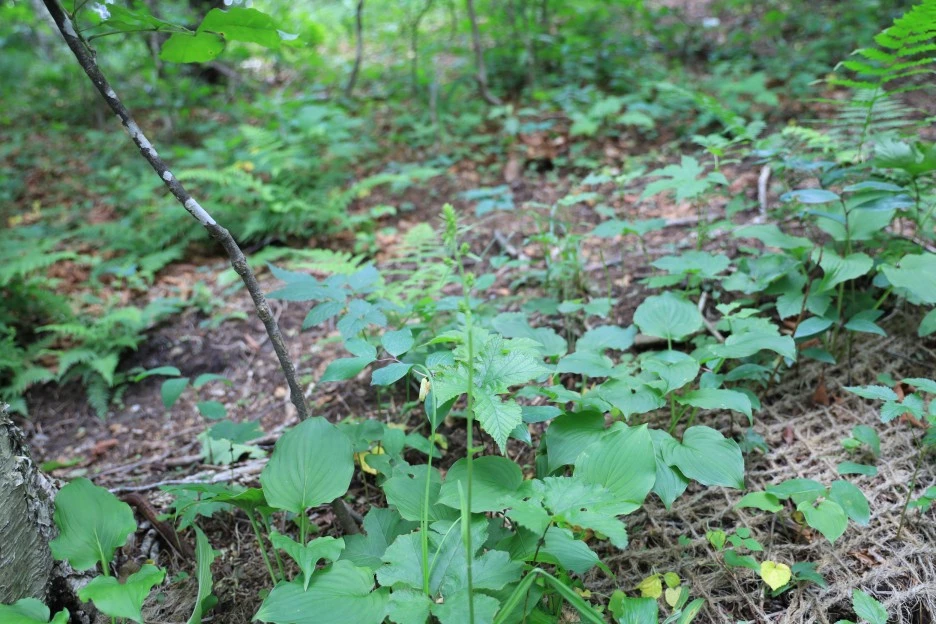 6%EC%9B%9428%EC%9D%BC_(353).JPG?type=w1