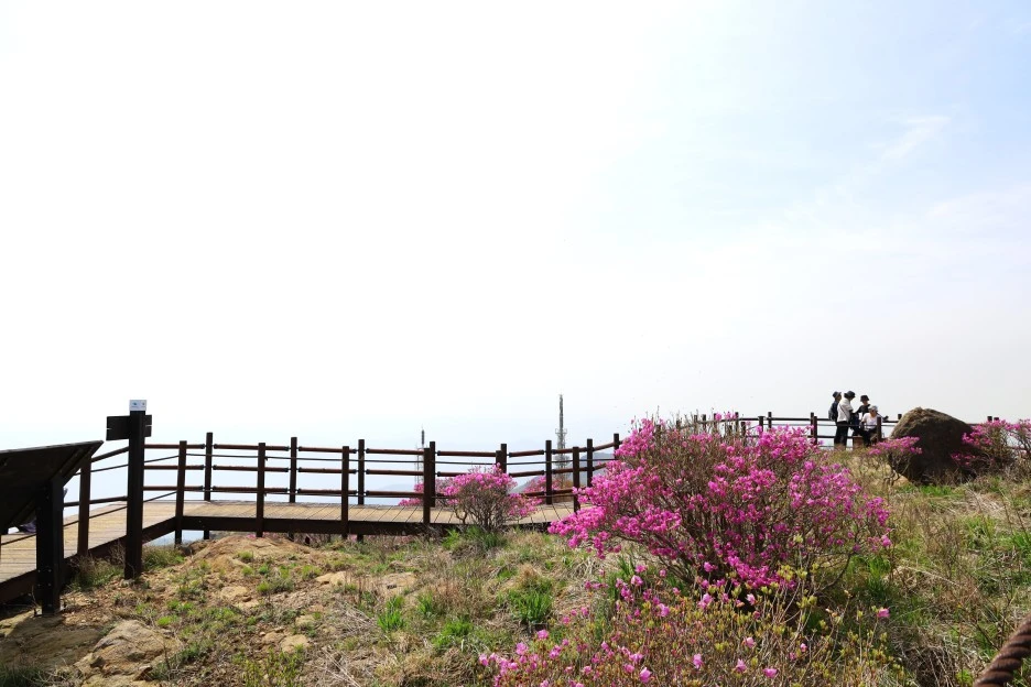 4%EC%9B%9428%EC%9D%BC_(94).JPG?type=w1