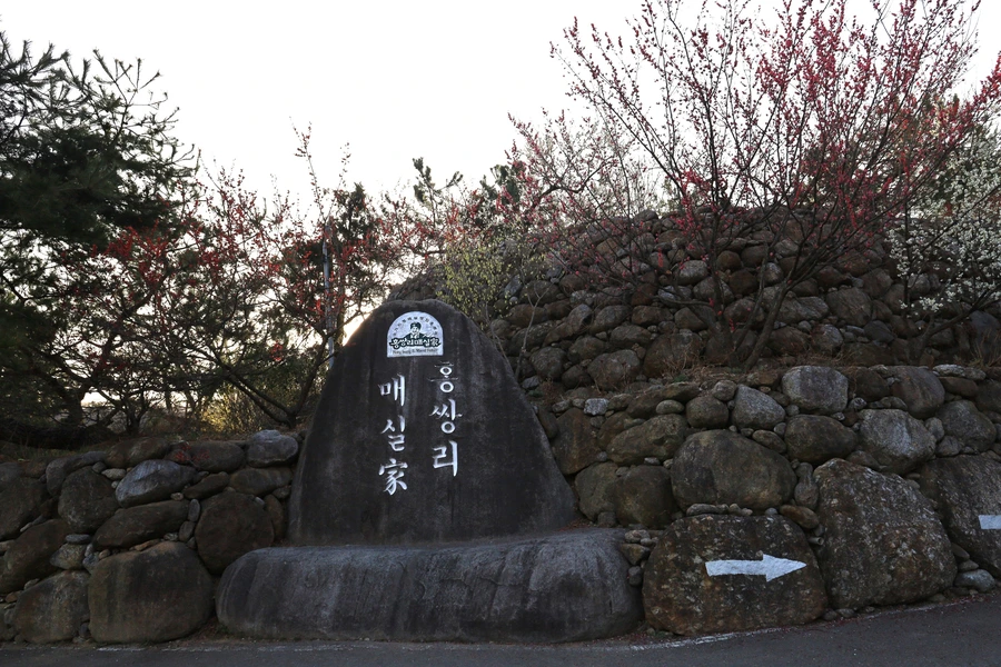 SE-fee1cc0a-0030-44f3-be44-d4ef96f864bd.jpg?type=w1