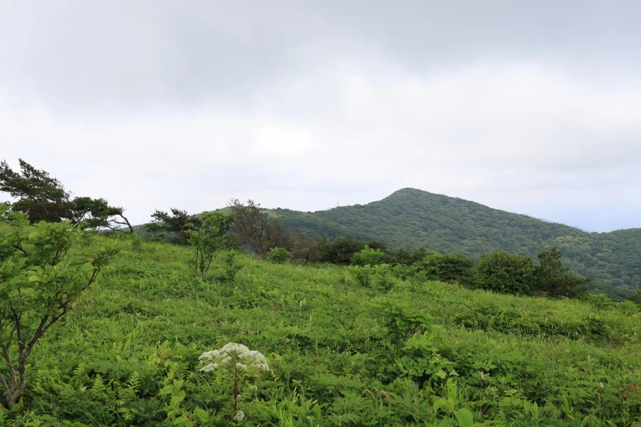 6%EC%9B%9428%EC%9D%BC_(191).JPG?type=w1