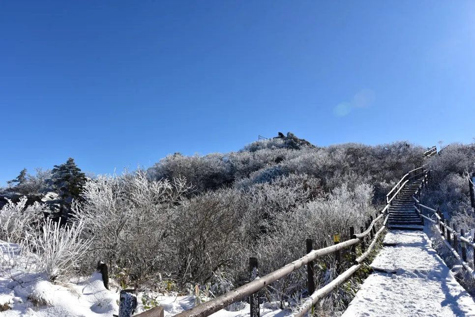 11%EC%9B%9426%EC%9D%BC_(132).JPG?type=w966