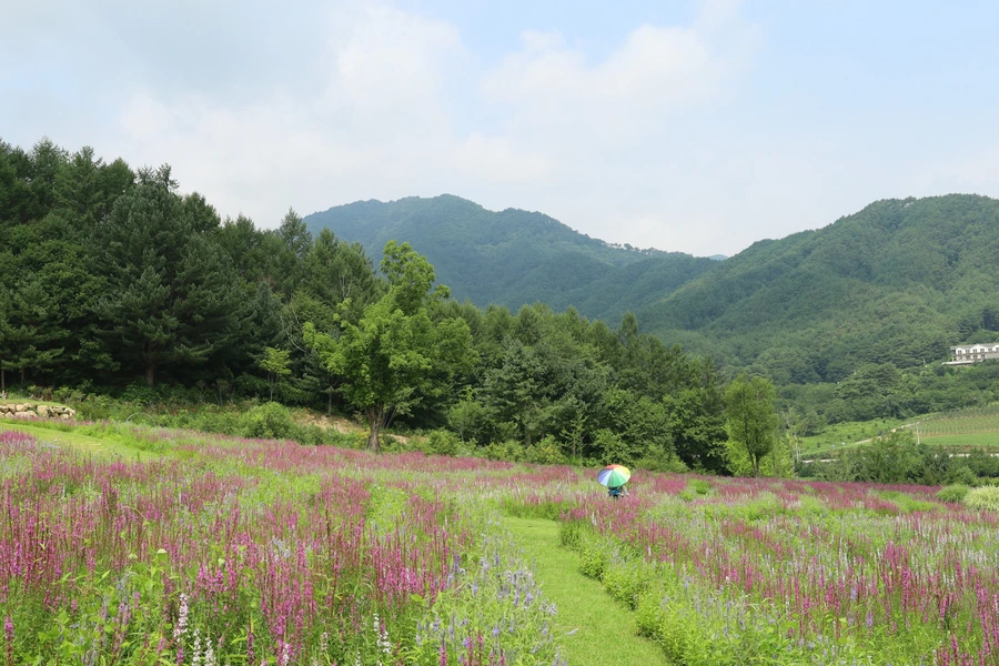 SE-b95becd7-8cc2-44e8-9d0f-572712ebd475.jpg?type=w1