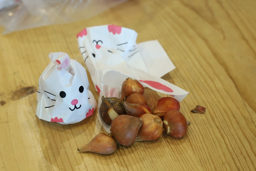 SE-11a0619e-265f-4d17-bbe5-bcf706f96723.jpg?type=w1