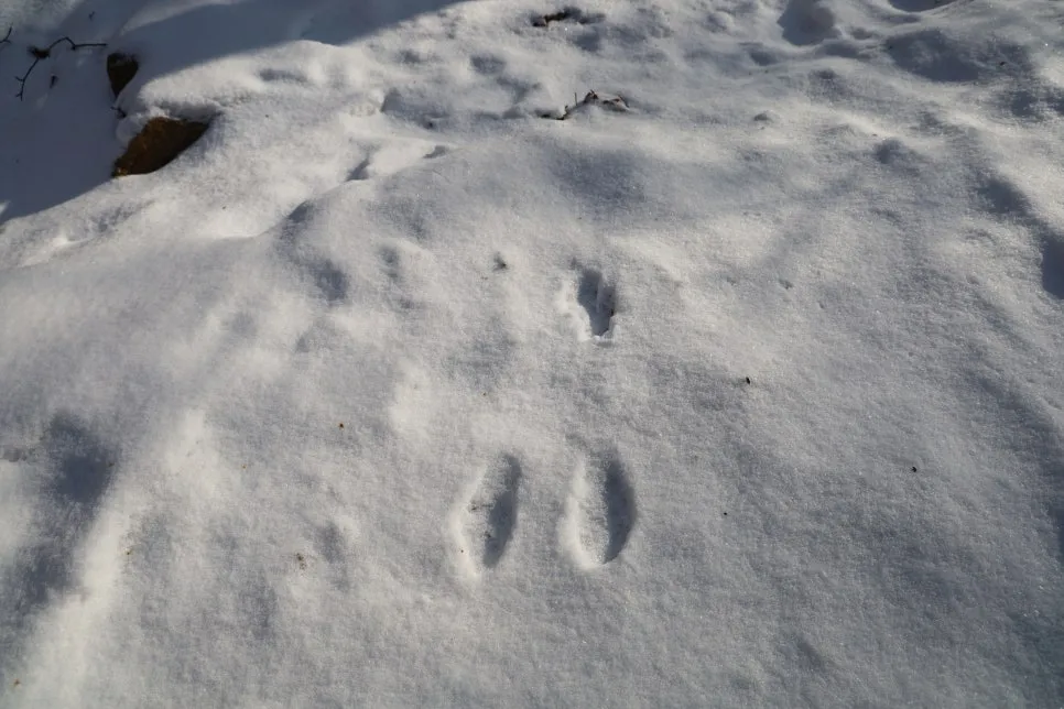 12%EC%9B%9426%EC%9D%BC_(78).JPG?type=w966