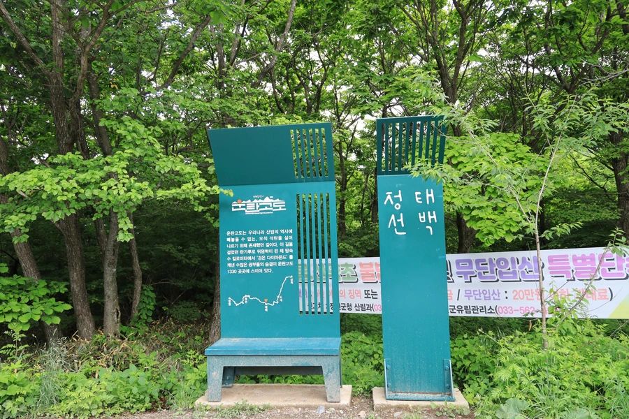 SE-f1b1fc3d-ea4c-431d-80f5-802d5c6a7689.jpg?type=w1