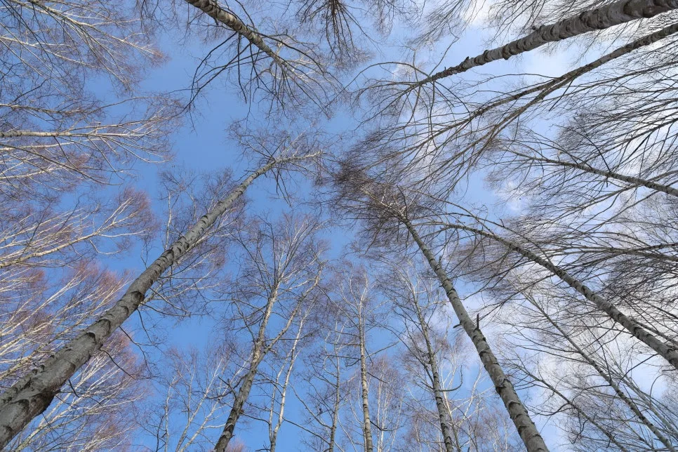 12%EC%9B%9426%EC%9D%BC_(19).JPG?type=w966