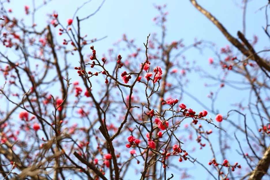 2%EC%9B%9426%EC%9D%BC_(159).JPG?type=w1