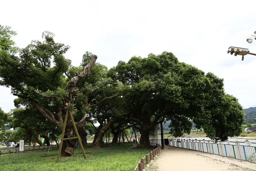 SE-bf12e516-de82-42ee-888b-caaba05c2d59.jpg?type=w1