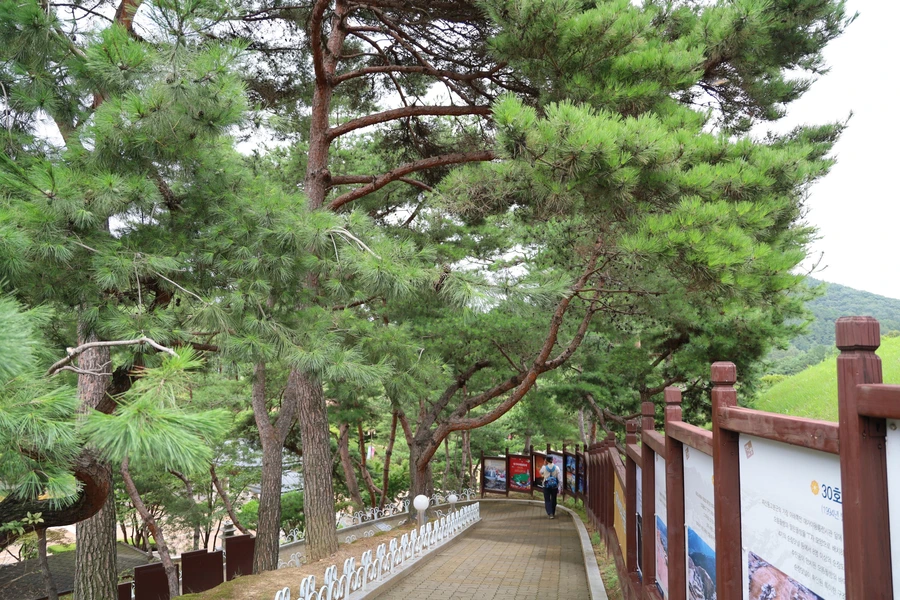 SE-111abc54-2a0e-4c80-8ae3-9b9e91ddf6ee.jpg?type=w1