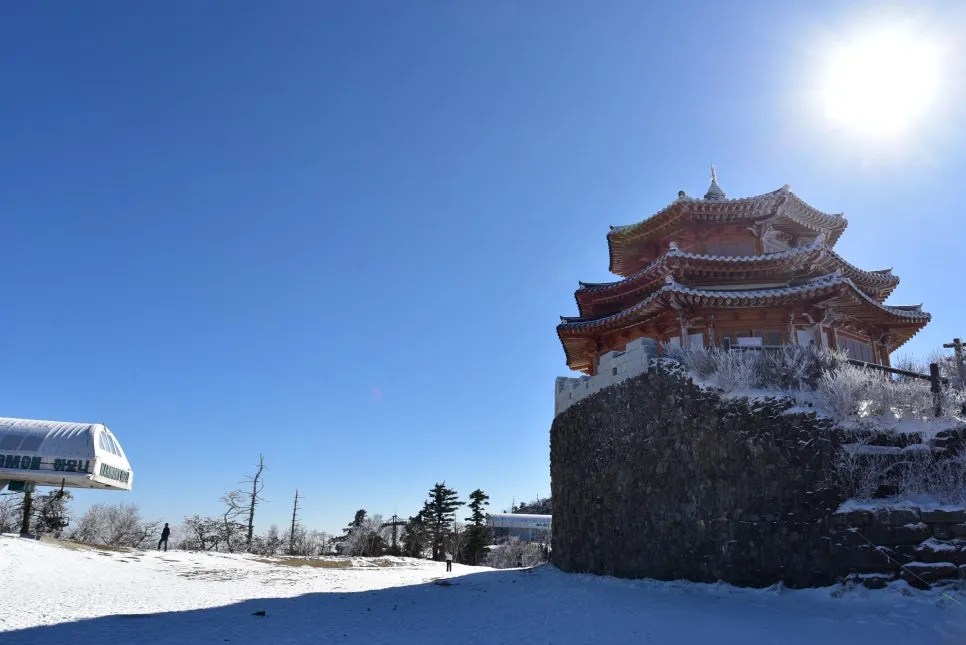 11%EC%9B%9426%EC%9D%BC_(206).JPG?type=w966