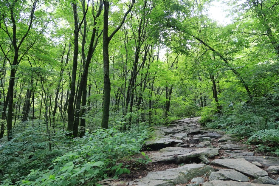 6%EC%9B%9428%EC%9D%BC_(67).JPG?type=w1