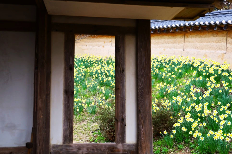 4%EC%9B%945%EC%9D%BC_(17).JPG?type=w966