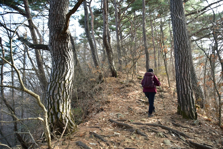 SE-3055ffc8-cabd-4a19-9db7-0837666c9b6e.jpg?type=w1