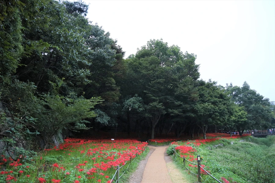 SE-7ef2d0bc-578f-412a-8f8d-5baae83b83a5.jpg?type=w1