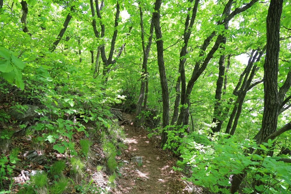 5%EC%9B%9410%EC%9D%BC_(128).JPG?type=w1