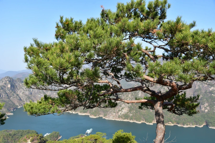 SE-9d1380ab-2f19-4193-ac08-be4a1ec52d6a.jpg?type=w1