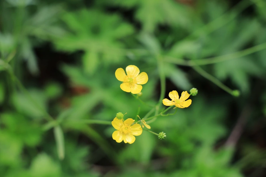 SE-4b6bc28f-28cf-4e4a-9bd0-533c2b8e1c57.jpg?type=w1