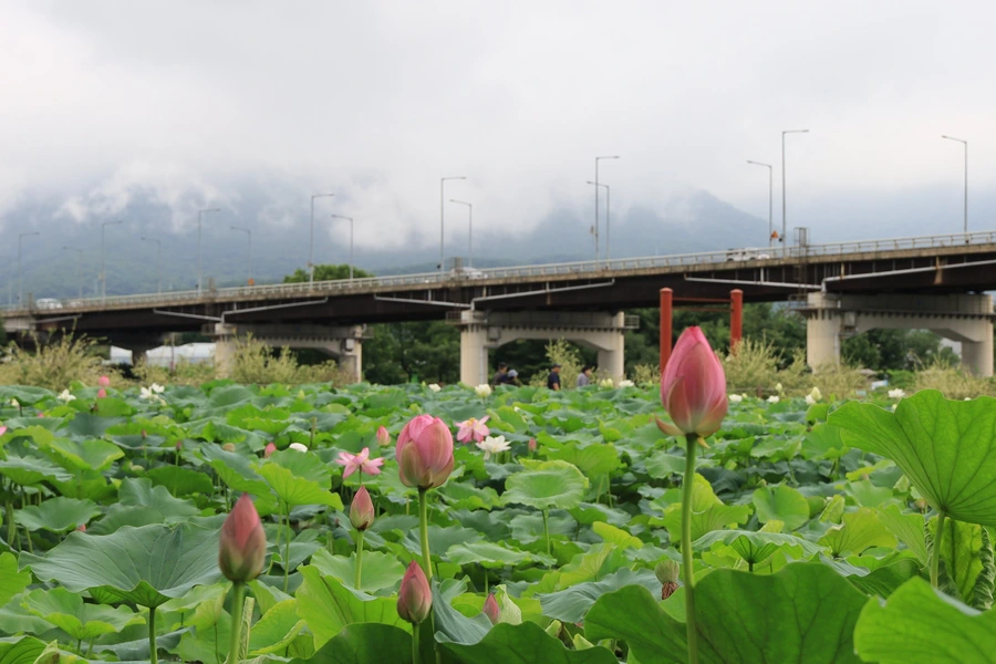 SE-bad74cea-63b0-49fb-a681-de1ca7db37e0.jpg?type=w1