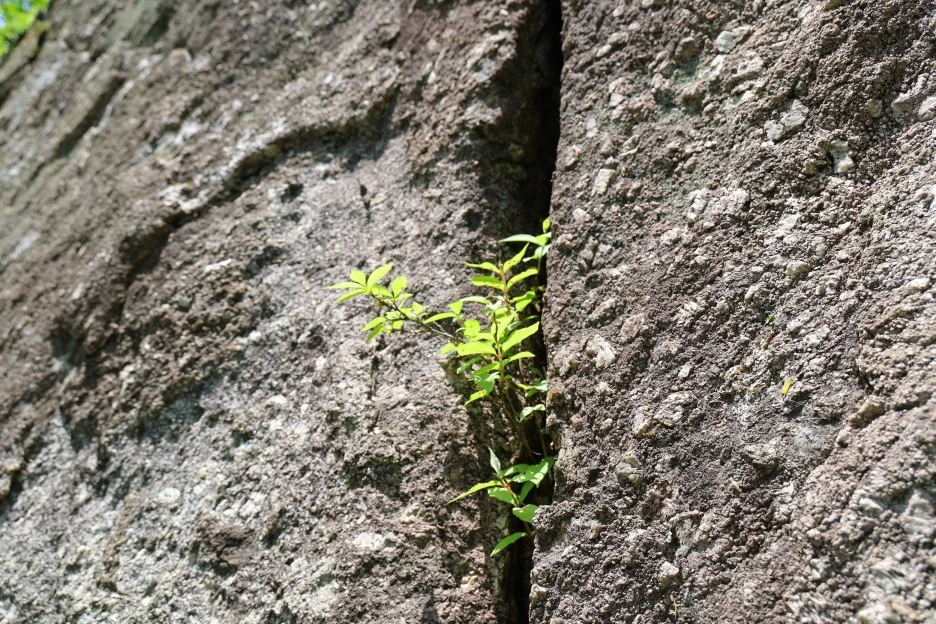 5%EC%9B%9410%EC%9D%BC_(130).JPG?type=w1