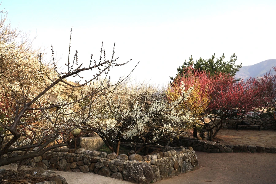 SE-a10f43e8-b15c-4015-a065-521d0f7d01c1.jpg?type=w1