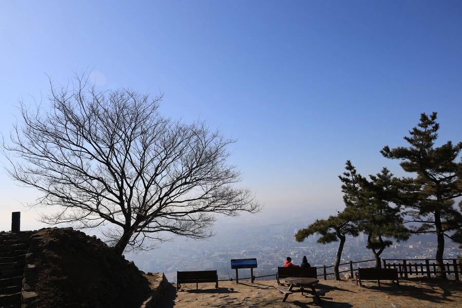 SE-3f99c039-22e8-4e86-b17d-dbad748050ec.jpg?type=w1