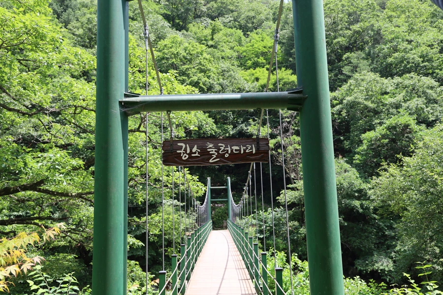 SE-df65d575-518c-46d9-ac2a-c17906be3508.jpg?type=w1