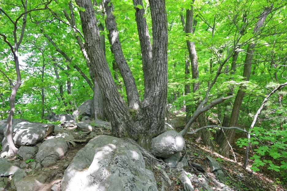 5%EC%9B%9410%EC%9D%BC_(29).JPG?type=w1