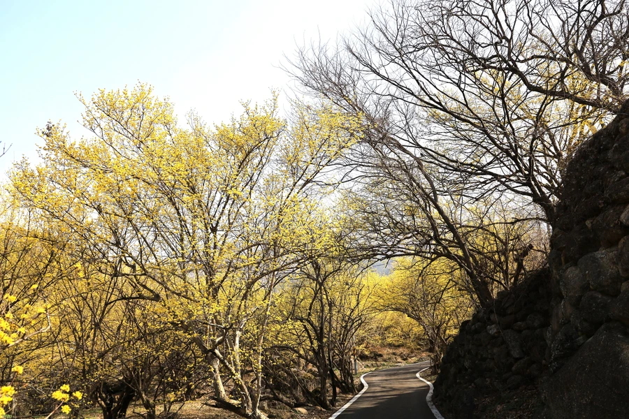 SE-386b25ff-da9b-40ce-8aaf-3ad96b534477.jpg?type=w1