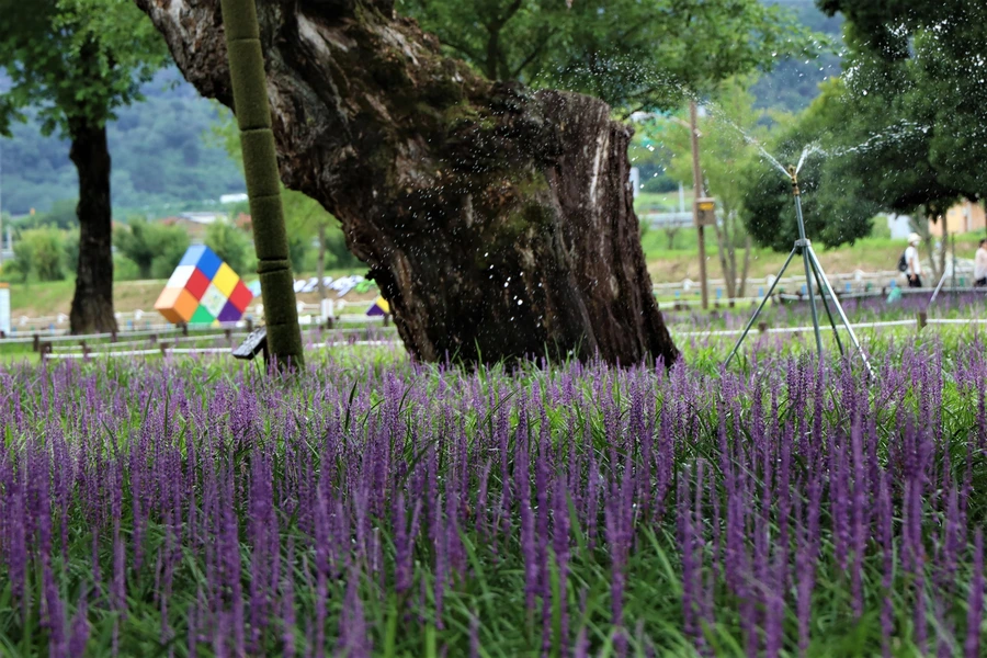 SE-00c3b247-bff3-44c2-b408-facefac9d8eb.jpg?type=w1