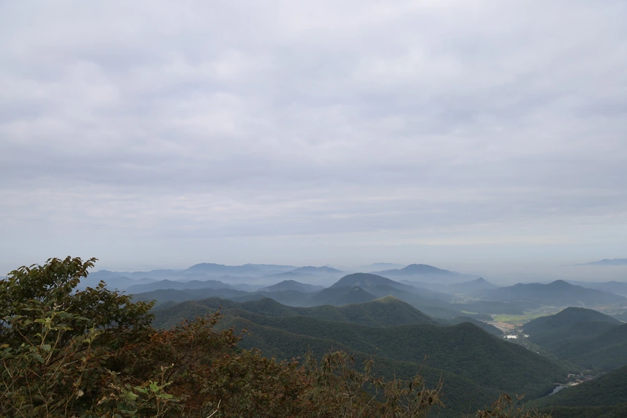 SE-294dd801-b7b0-4106-b50b-0b7ead8171ce.jpg?type=w1