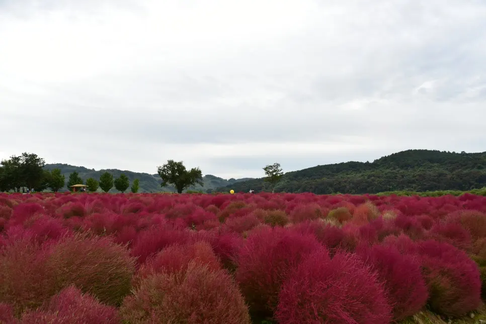 10%EC%9B%9414%EC%9D%BC_(71).JPG?type=w966