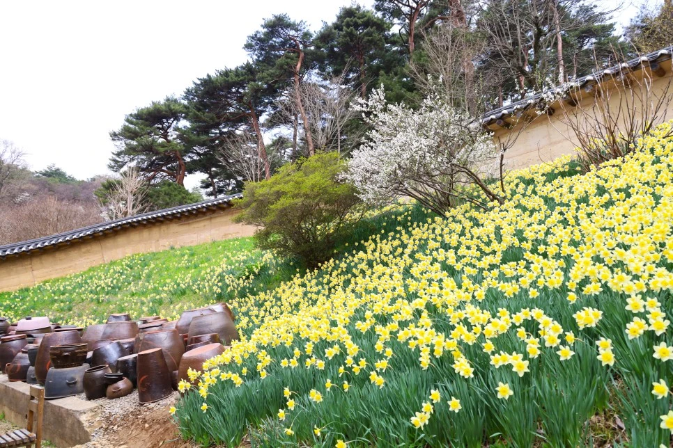 4%EC%9B%945%EC%9D%BC_(9).JPG?type=w966