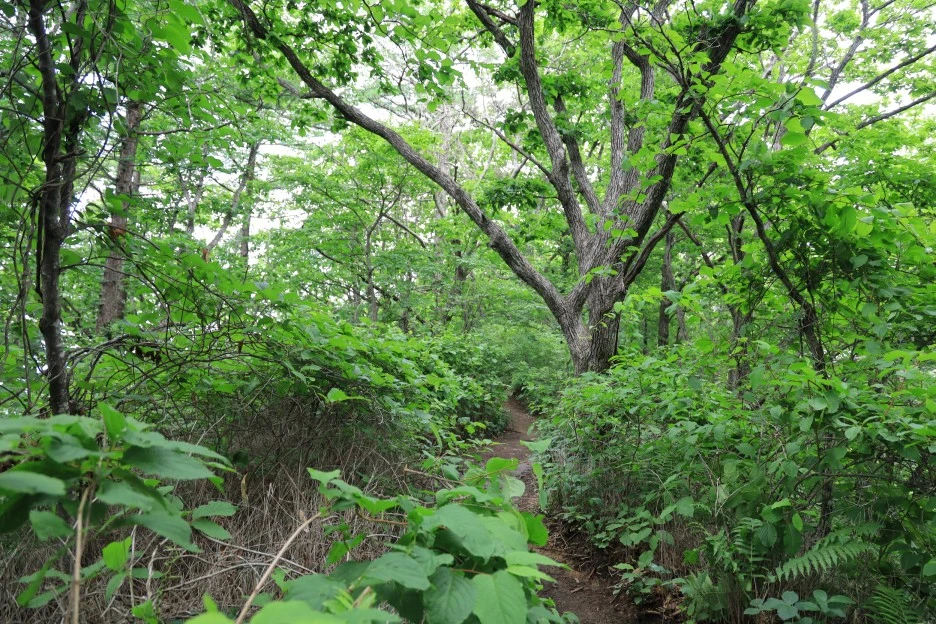 6%EC%9B%9428%EC%9D%BC_(115).JPG?type=w1