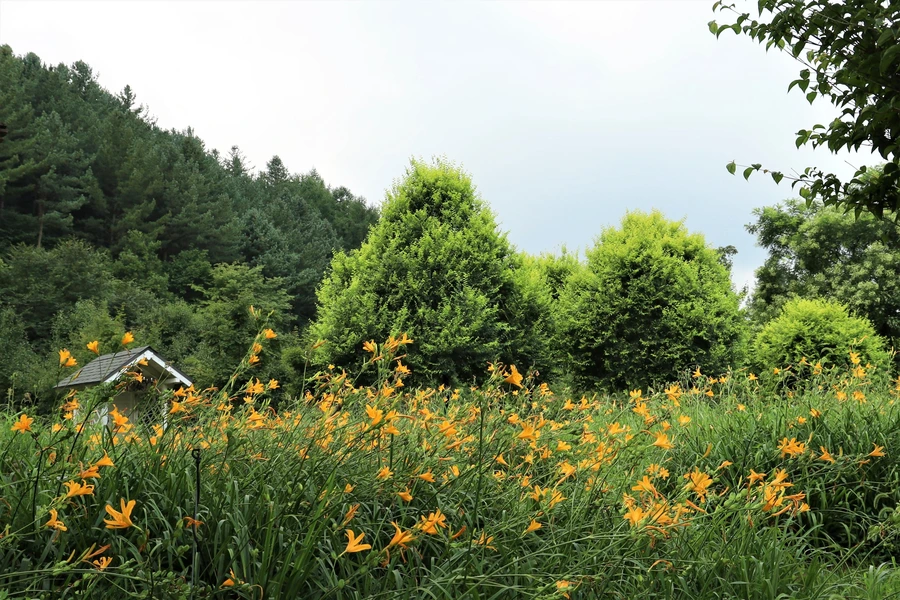 SE-c0eff3fd-4e29-43f1-9ea9-6a589f498c9b.jpg?type=w1