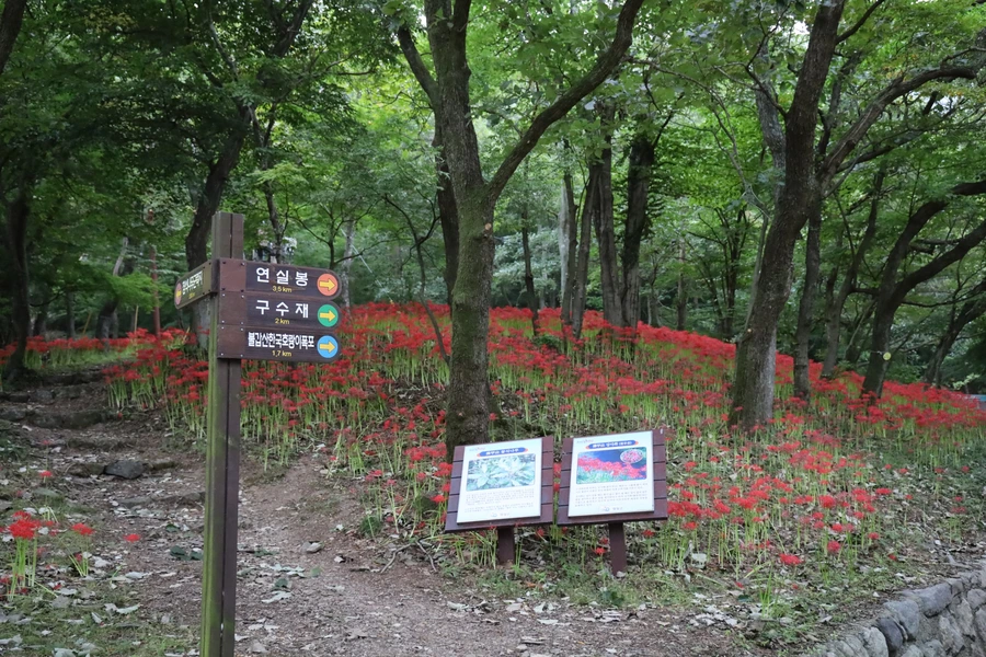 SE-344b3d42-ceb5-4640-972f-861141482f4e.jpg?type=w1