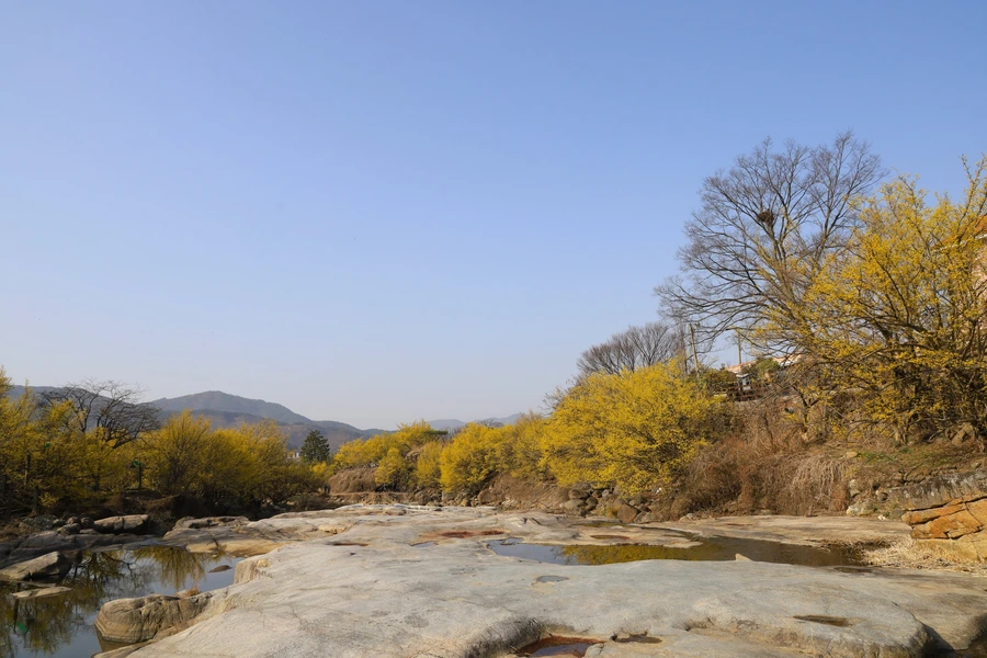 SE-0289eb81-0f3f-43d1-a800-f1d5a7433895.jpg?type=w1