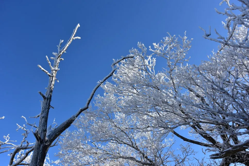 11%EC%9B%9426%EC%9D%BC_(62).JPG?type=w966