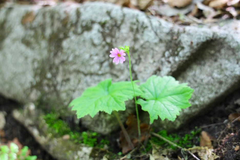 5%EC%9B%9410%EC%9D%BC_(145).JPG?type=w1