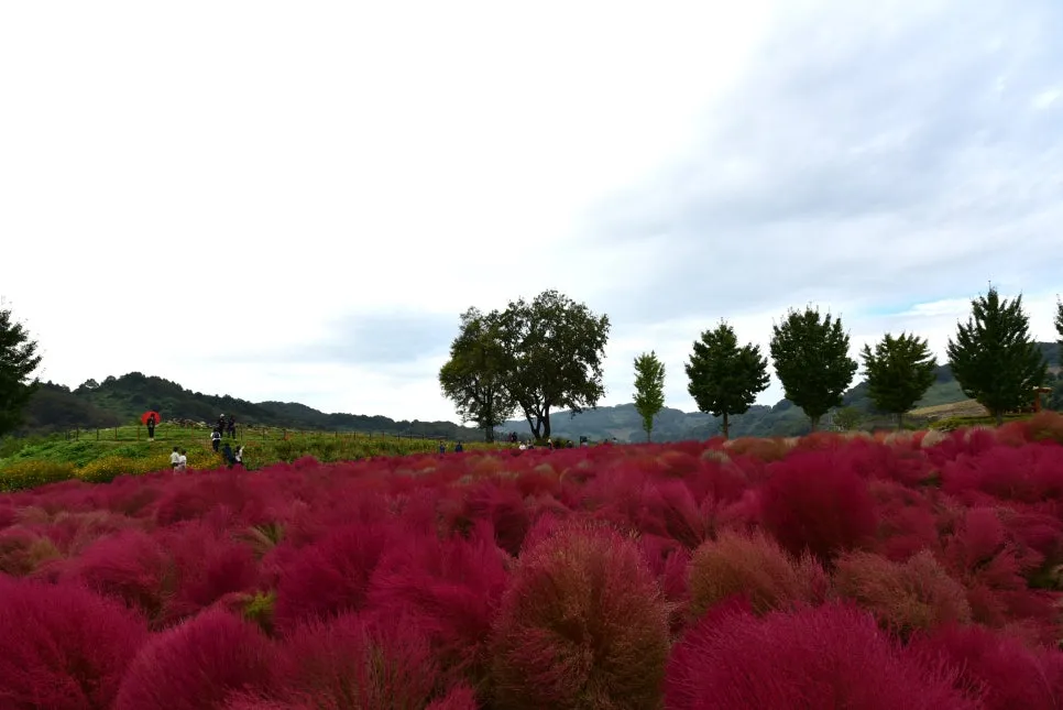 10%EC%9B%9414%EC%9D%BC_(88).JPG?type=w966