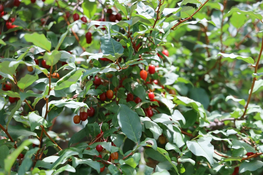 SE-347a4152-7493-41fc-8e05-4d1b21f9ff6c.jpg?type=w1