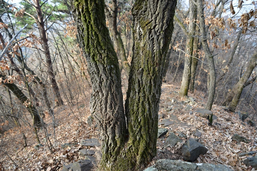 SE-2b457bfc-1d12-40a8-9a6f-13812c35d93f.jpg?type=w1